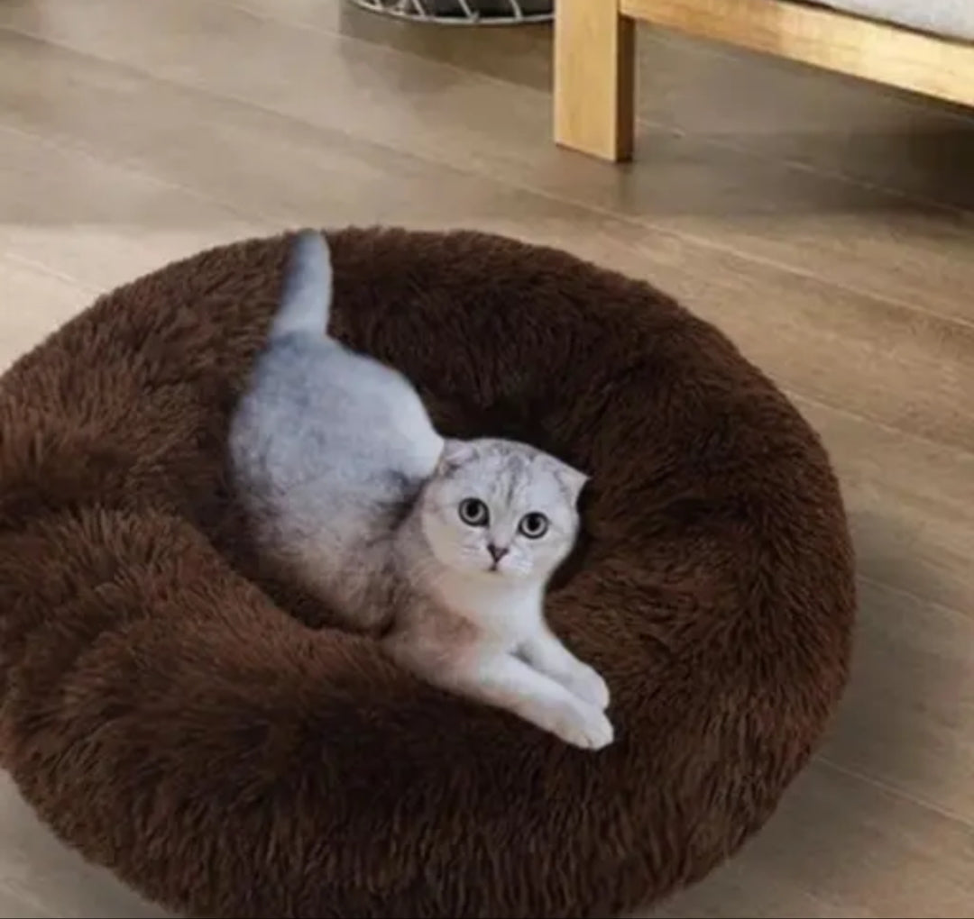 COZY PET BED FOR CUTIES || DO NOT DISTURB PET BED.