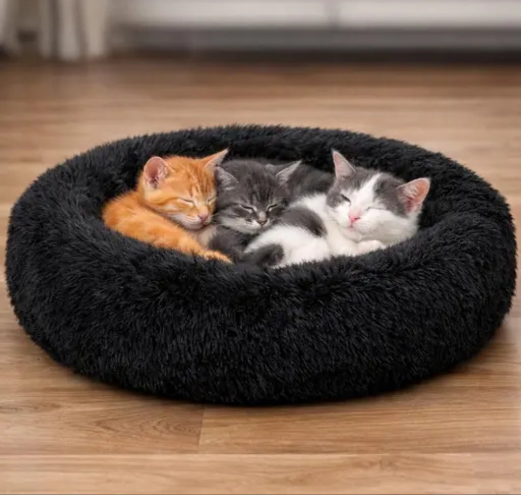 Do Not Disturb Pet Bed For Cuties | Donut Shape Pet Bed