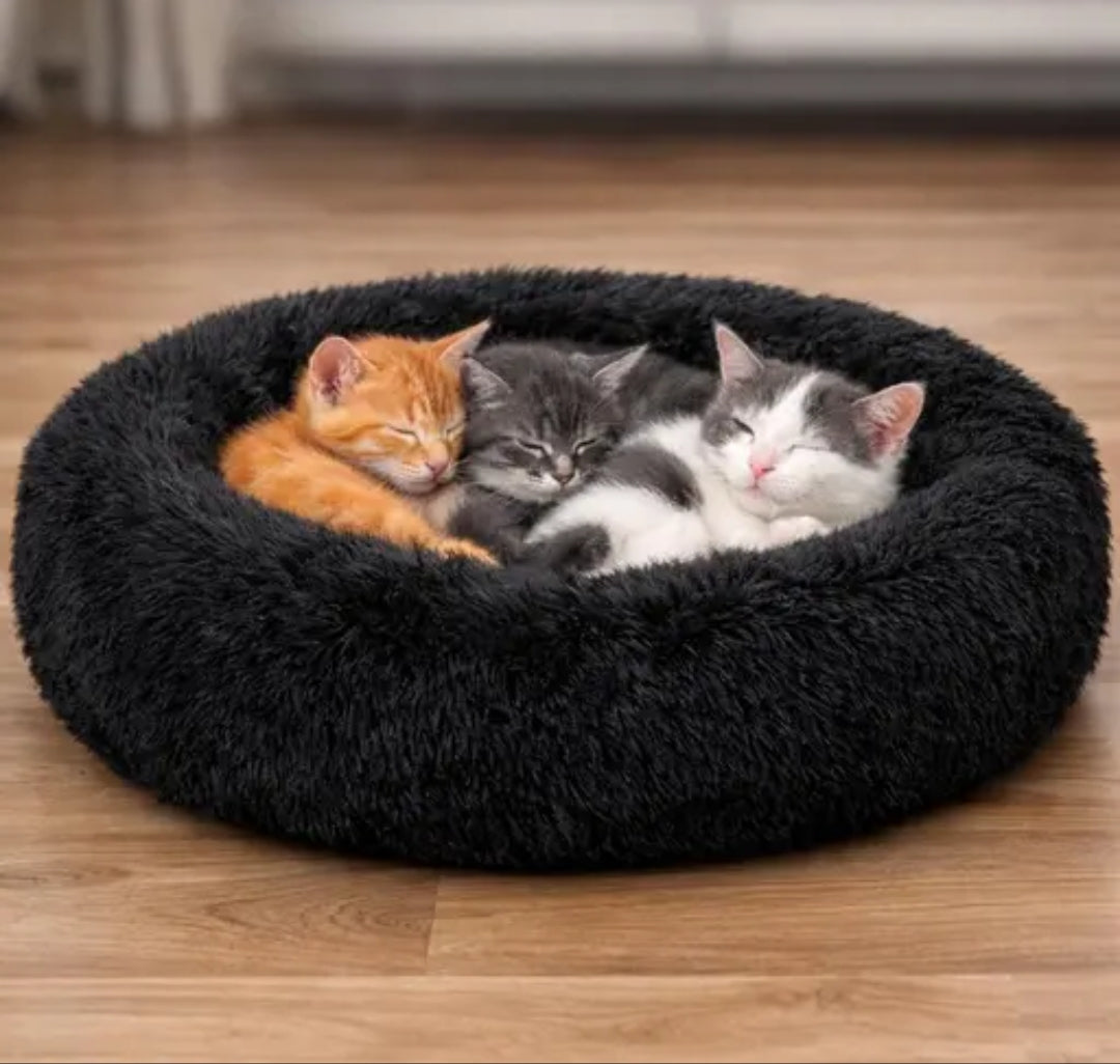 Do Not Disturb Pet Bed For Cuties | Donut Shape Pet Bed