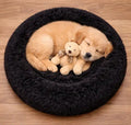 Do Not Disturb Pet Bed For Cuties | Donut Shape Pet Bed