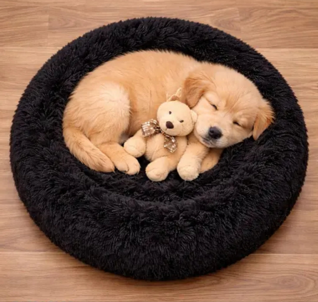 Do Not Disturb Pet Bed For Cuties | Donut Shape Pet Bed