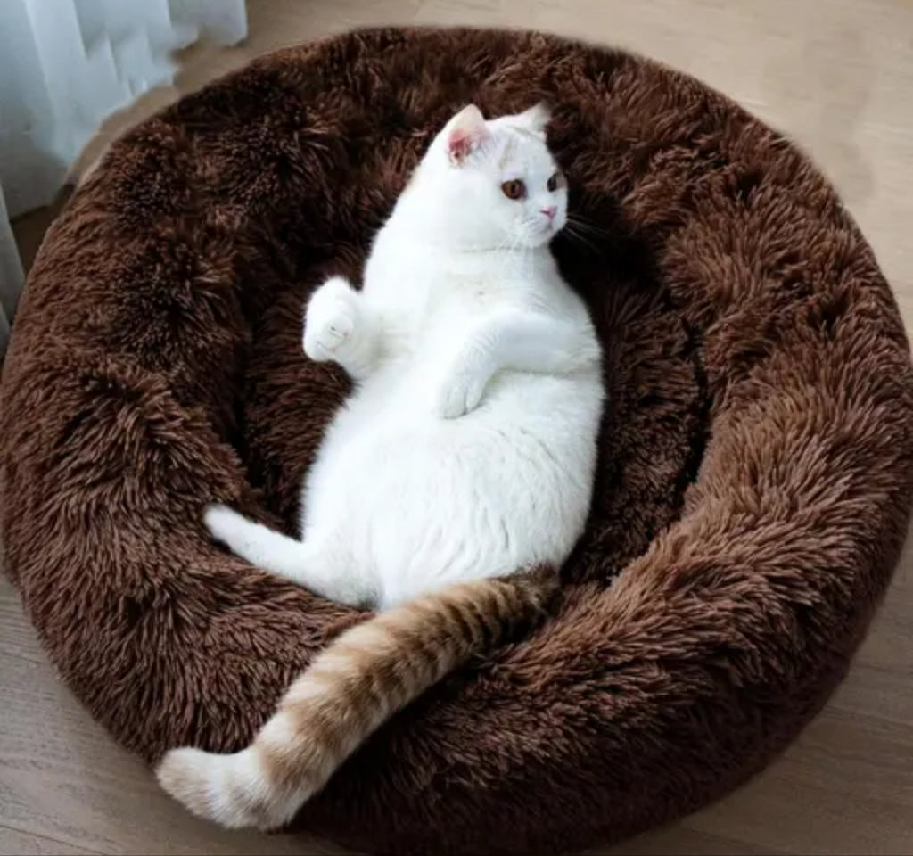 COZY PET BED FOR CUTIES || DO NOT DISTURB PET BED.