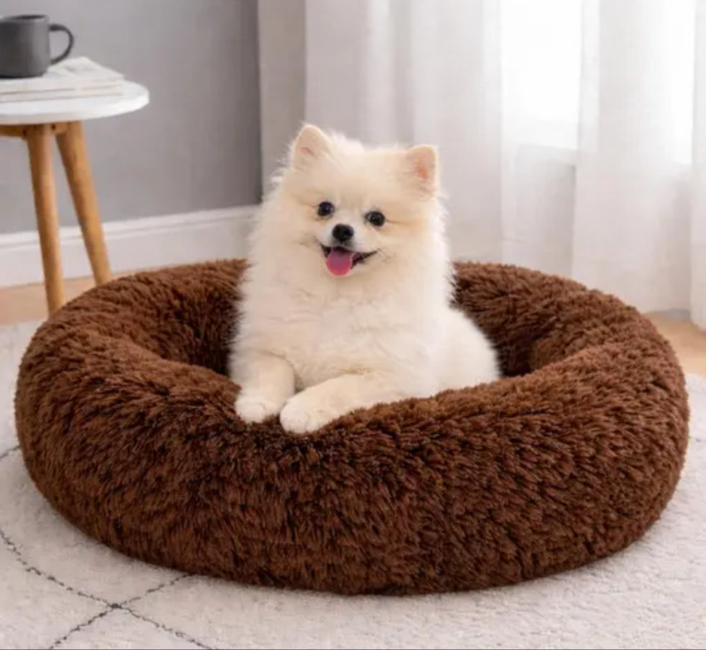 COZY PET BED FOR CUTIES || DO NOT DISTURB PET BED.